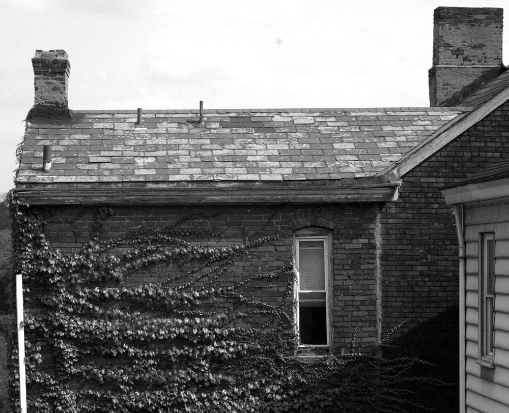 house with ivy and bricks