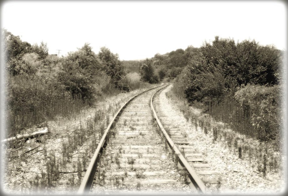 photo of railroad tracks in summer